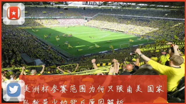 美洲杯参赛范围为何只限南美 国家队数量少的背后原因解析