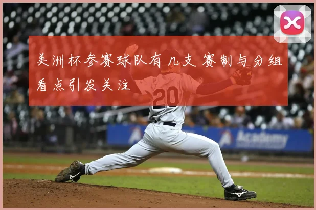 美洲杯参赛球队有几支 赛制与分组看点引发关注