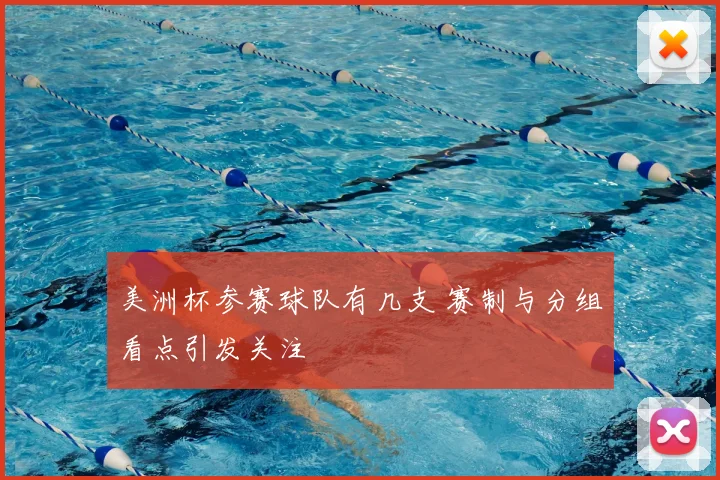 美洲杯参赛球队有几支 赛制与分组看点引发关注