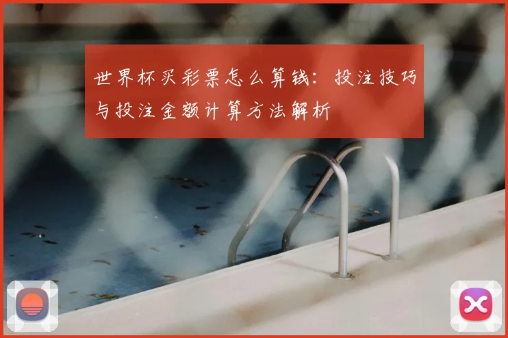 世界杯买彩票怎么算钱：投注技巧与投注金额计算方法解析