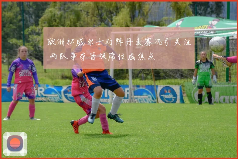 欧洲杯威尔士对阵丹麦赛况引关注 两队争夺晋级席位成焦点