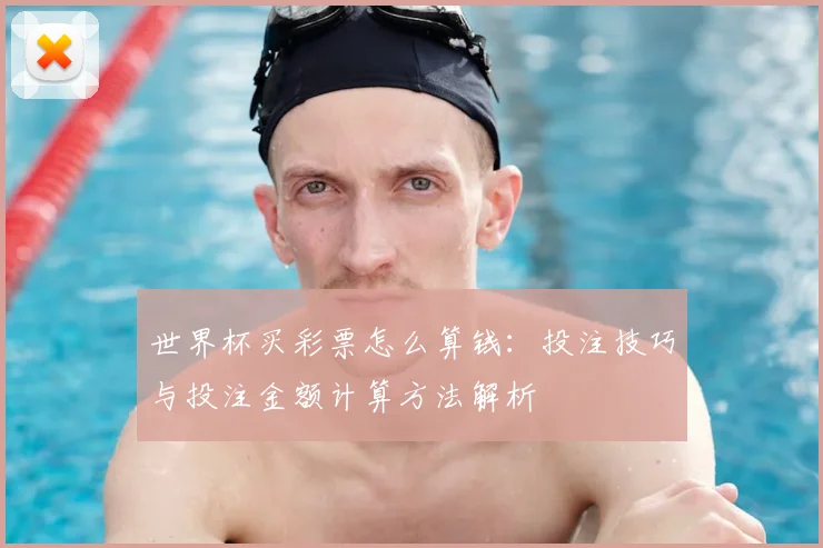 世界杯买彩票怎么算钱：投注技巧与投注金额计算方法解析