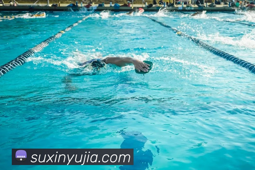 App Interface Preview